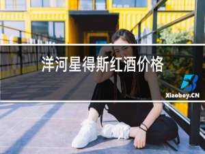 洋河星得斯红酒价格