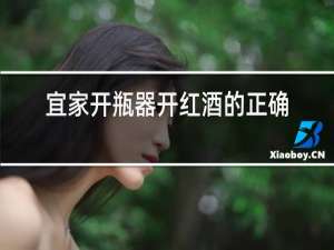 宜家开瓶器开红酒的正确方法