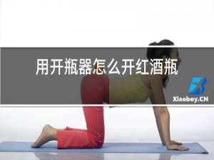 用开瓶器怎么开红酒瓶