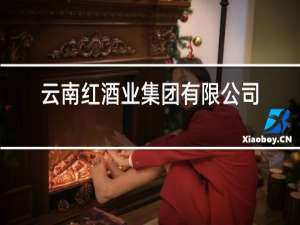 云南红酒业集团有限公司董事长