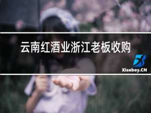 云南红酒业浙江老板收购