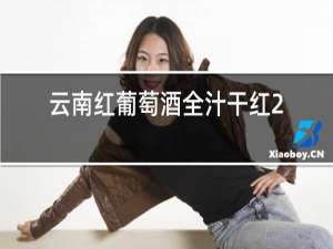 云南红葡萄酒全汁干红2010年
