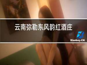 云南弥勒东风韵红酒庄