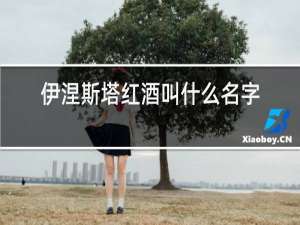 伊涅斯塔红酒叫什么名字
