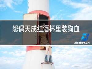 怨偶天成红酒杯里装狗血