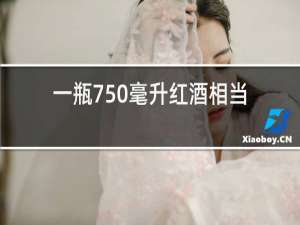 一瓶750毫升红酒相当于多少白酒