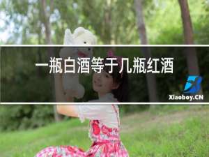 一瓶白酒等于几瓶红酒
