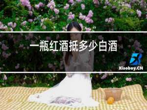 一瓶红酒抵多少白酒