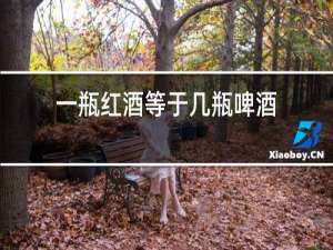 一瓶红酒等于几瓶啤酒?