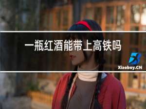 一瓶红酒能带上高铁吗