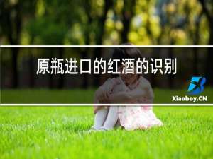 原瓶进口的红酒的识别