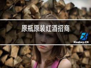 原瓶原装红酒招商