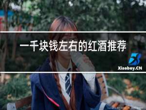 一千块钱左右的红酒推荐