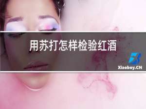 用苏打怎样检验红酒