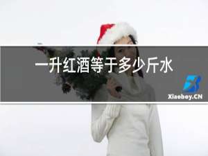 一升红酒等于多少斤水