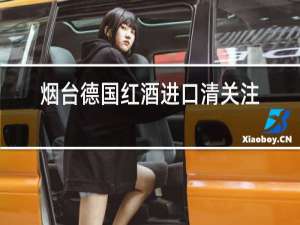 烟台德国红酒进口清关注意事项