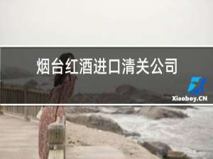 烟台红酒进口清关公司