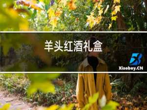 羊头红酒礼盒