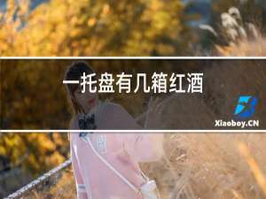 一托盘有几箱红酒