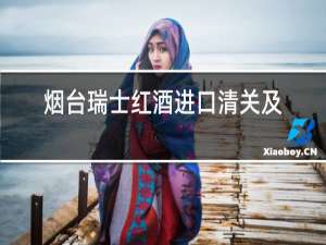 烟台瑞士红酒进口清关及订舱