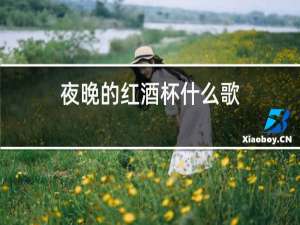 夜晚的红酒杯什么歌