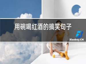 用碗喝红酒的搞笑句子