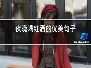 夜晚喝红酒的优美句子