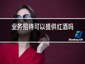 业务招待可以提供红酒吗