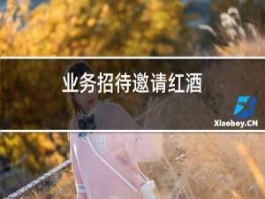 业务招待宴请红酒