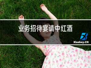 业务招待宴请中红酒