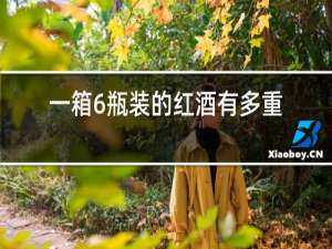 一箱6瓶装的红酒有多重
