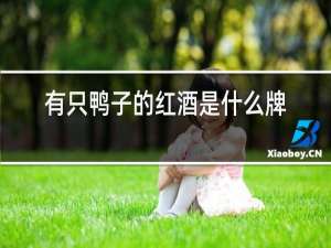有只鸭子的红酒是什么牌子