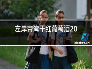 左岸帝湾干红葡萄酒2018