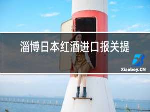 淄博日本红酒进口报关提供资料