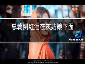 总裁倒红酒在灰姑娘下面