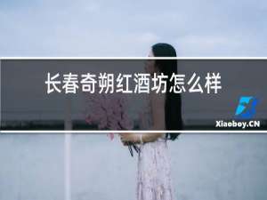 长春奇朔红酒坊怎么样