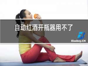 自动红酒开瓶器用不了