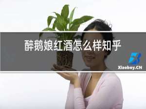 醉鹅娘红酒怎么样知乎