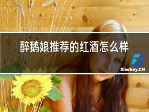 醉鹅娘推荐的红酒怎么样