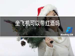 坐飞机可以带红酒吗