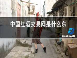 中国红酒交易网是什么东西