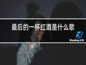 最后的一杯红酒是什么歌