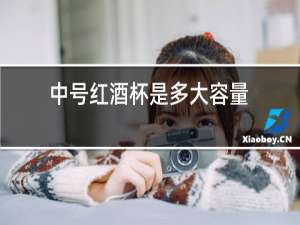 中号红酒杯是多大容量