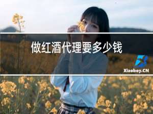 做红酒代理要多少钱