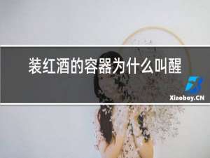 装红酒的容器为什么叫醒酒器