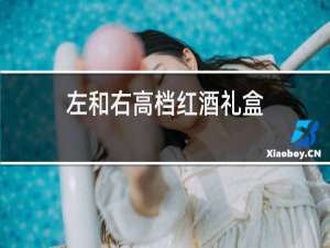 左和右高档红酒礼盒