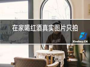 在家喝红酒真实图片只拍酒