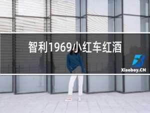 智利1969小红车红酒
