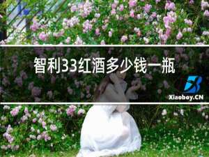 智利33红酒多少钱一瓶