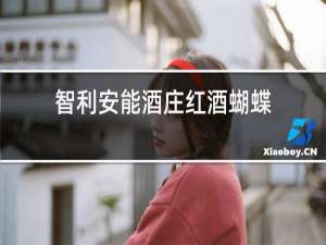 智利安能酒庄红酒蝴蝶